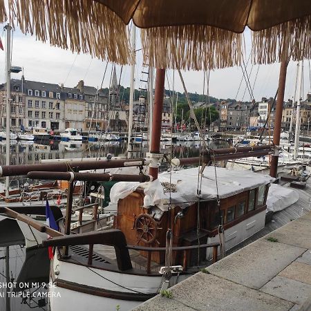 Proche Honfleur Gite Avec Piscine Equemauville Exterior photo