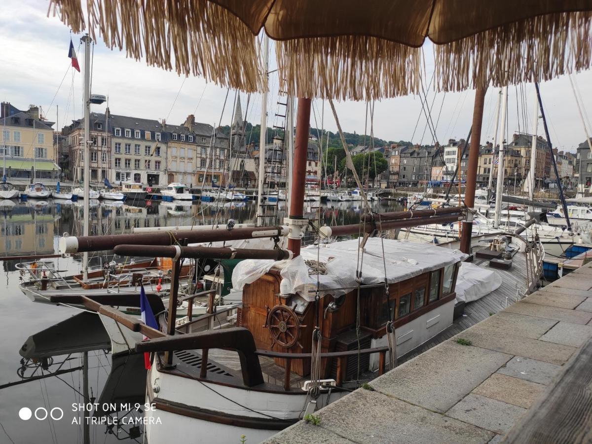 Proche Honfleur Gite Avec Piscine Equemauville Exterior photo